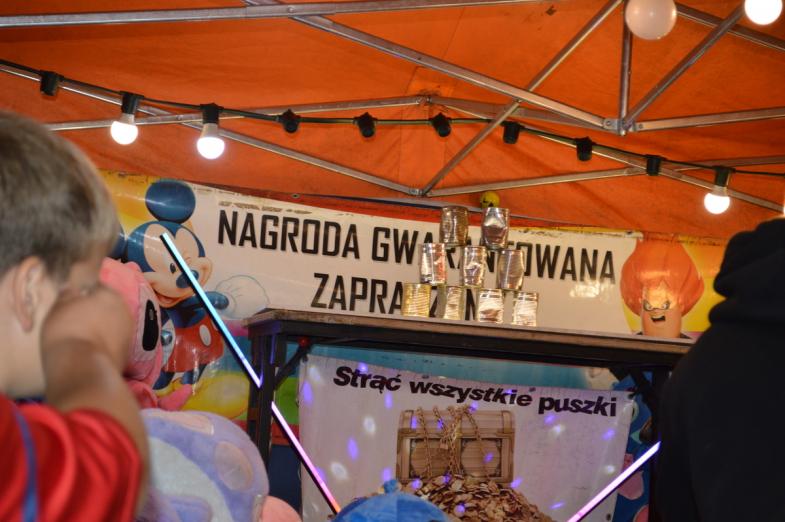 Konstantynów świętował po raz 26. Od lokalnych artystów po Czerwone Gitary
